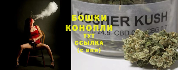 винт Верея