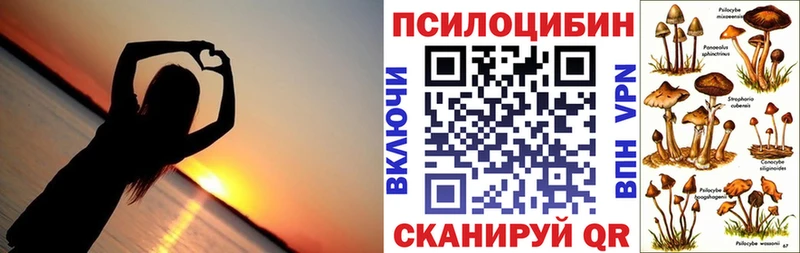 Купить где  Кольчугино  Псилоцибиновые грибы мицелий 