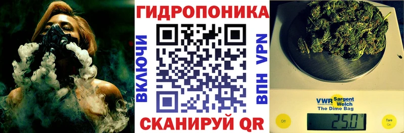 Канабис планчик  Купить где  Кольчугино 
